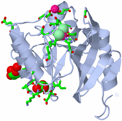 Image Biol. Unit 1 - sites