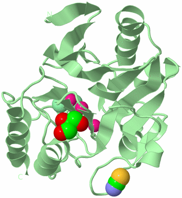 Image Biological Unit 2