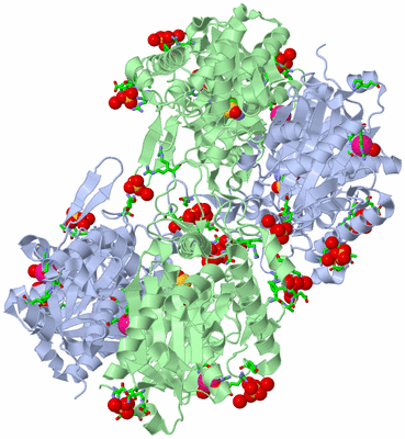 Image Biol. Unit 1 - sites