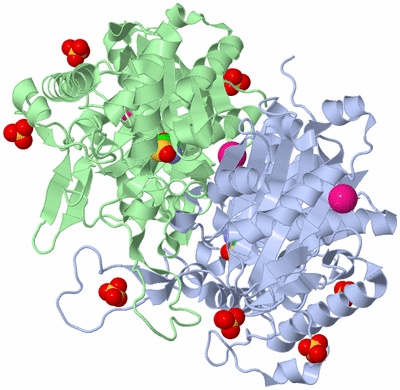 Image Biological Unit 2