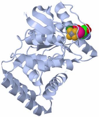 Image Biological Unit 1