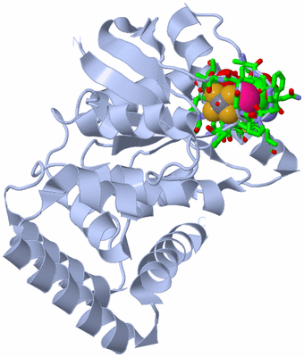 Image Biol. Unit 1 - sites