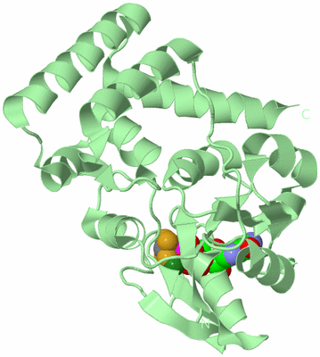 Image Biological Unit 2