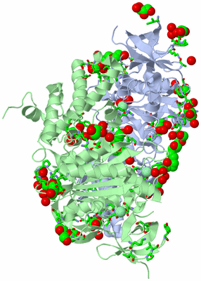 Image Asym./Biol. Unit - sites