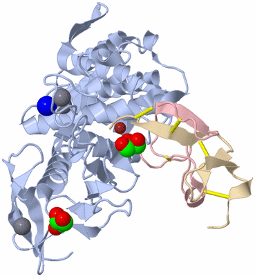 Image Biological Unit 1