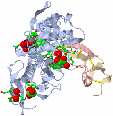 Image Biol. Unit 1 - sites