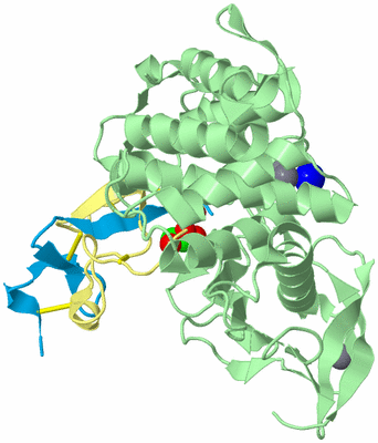 Image Biological Unit 2