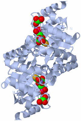 Image Biological Unit 1