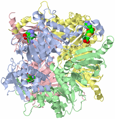 Image Asym./Biol. Unit