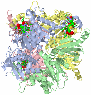 Image Asym./Biol. Unit - sites