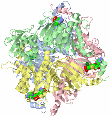 Image Biological Unit 1