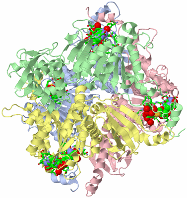 Image Biol. Unit 1 - sites