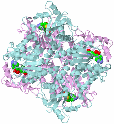 Image Biological Unit 2