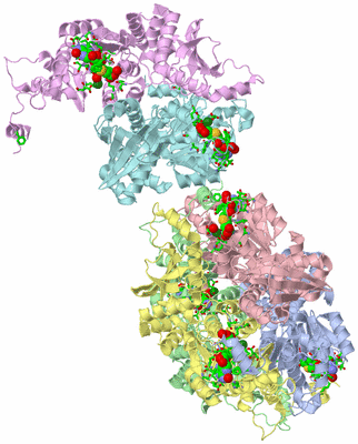 Image Asym. Unit - sites