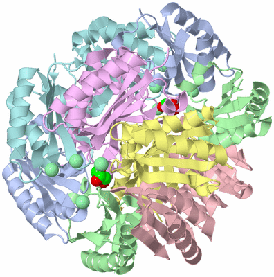 Image Biological Unit 1