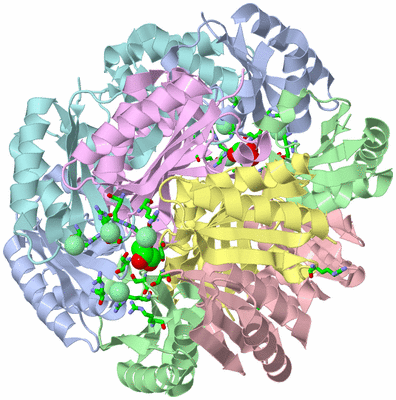 Image Biol. Unit 1 - sites