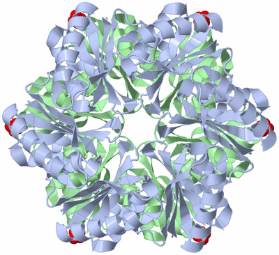 Image Biological Unit 1