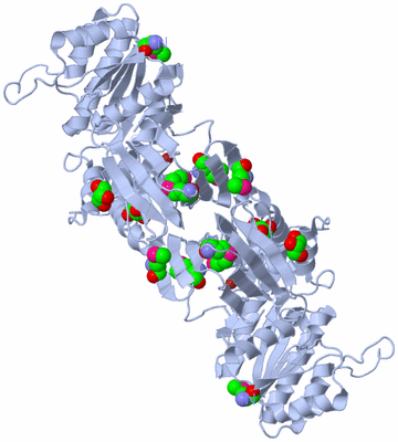 Image Biological Unit 1