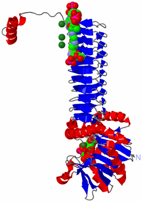 Image Asymmetric Unit