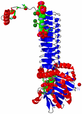 Image Asym. Unit - sites