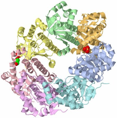 Image Asym./Biol. Unit