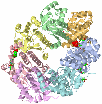 Image Asym./Biol. Unit - sites