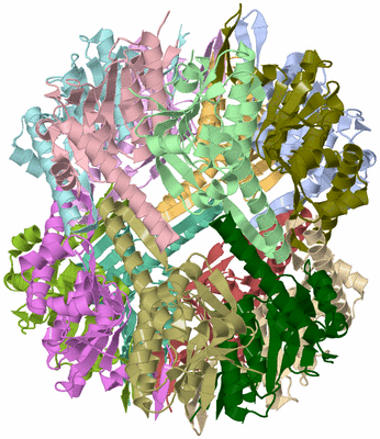 Image Asym./Biol. Unit