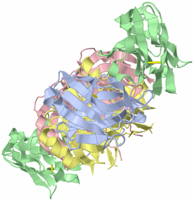 Image Biological Unit 1