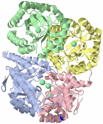 Image Asym./Biol. Unit