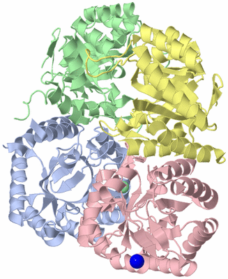 Image Asym./Biol. Unit