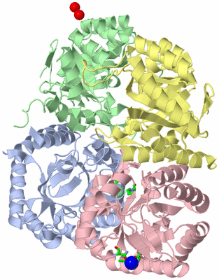 Image Asym./Biol. Unit - sites