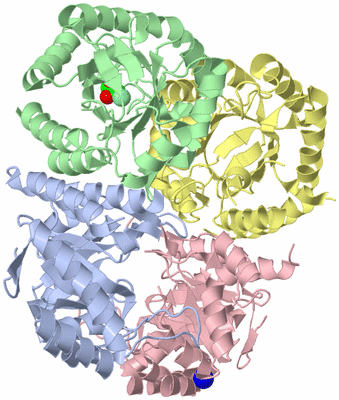 Image Asym./Biol. Unit