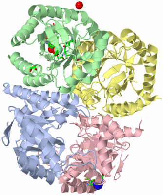 Image Asym./Biol. Unit - sites