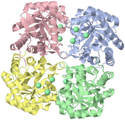 Image Asym./Biol. Unit