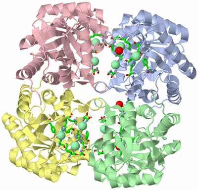 Image Asym./Biol. Unit - sites