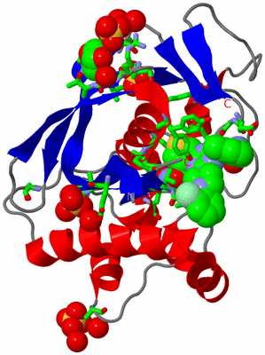 Image Asym./Biol. Unit - sites