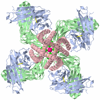 Image Biological Unit 1