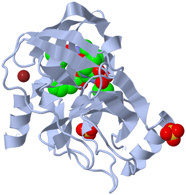 Image Biological Unit 1