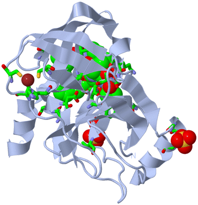 Image Biol. Unit 1 - sites