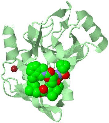 Image Biological Unit 2