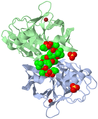 Image Biological Unit 3