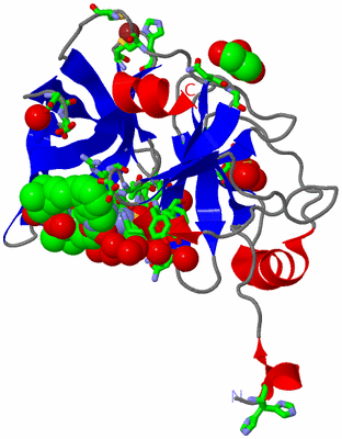 Image Asym./Biol. Unit - sites