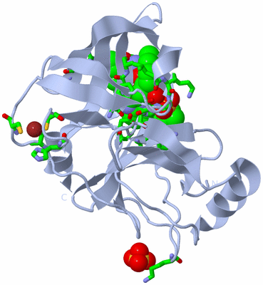 Image Biol. Unit 1 - sites