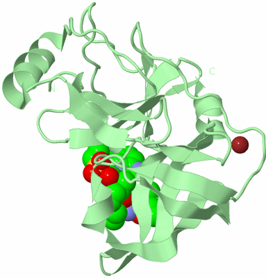 Image Biological Unit 2