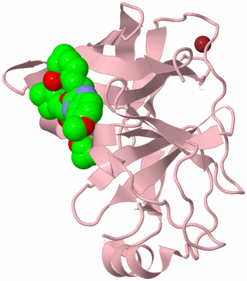 Image Biological Unit 3