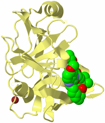 Image Biological Unit 4