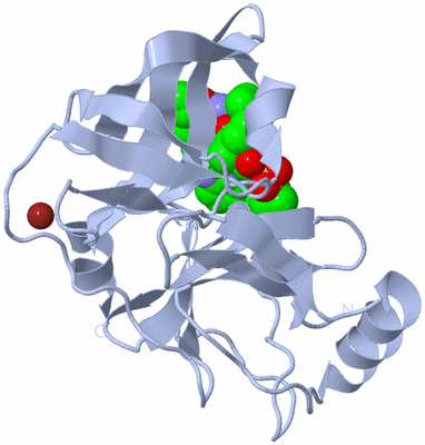 Image Biological Unit 1