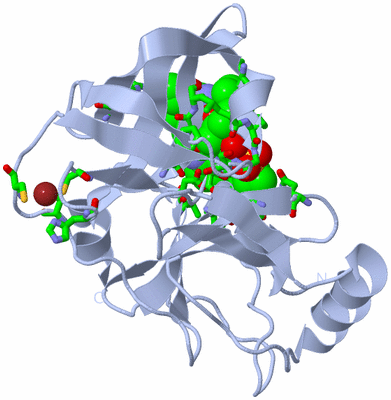 Image Biol. Unit 1 - sites