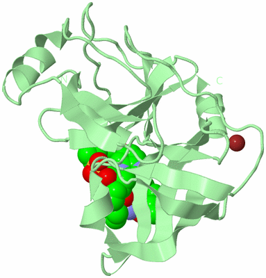 Image Biological Unit 2