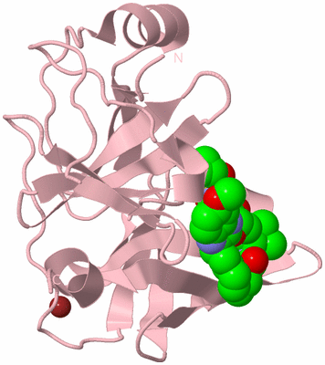 Image Biological Unit 3